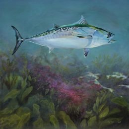 False Albacore _Original SOLD