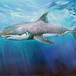 Great White - Original SOLD