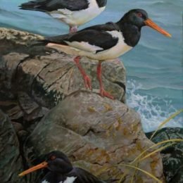 Oyster Catchers (Martha's Vineyard) - Original Sold