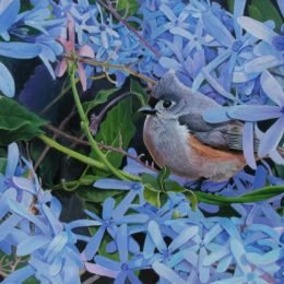 Tufted Titmouse, Queens Wreath - Original Available